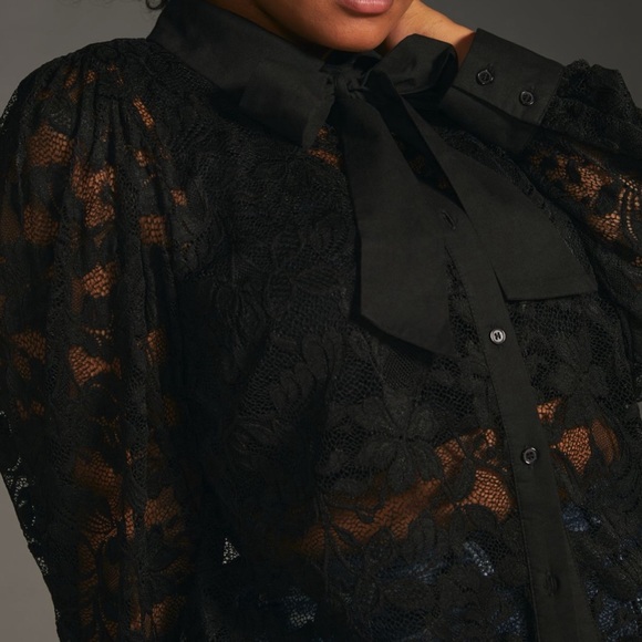 HTF Anthropologie Sheer Lace Blouse - Picture 6 of 6